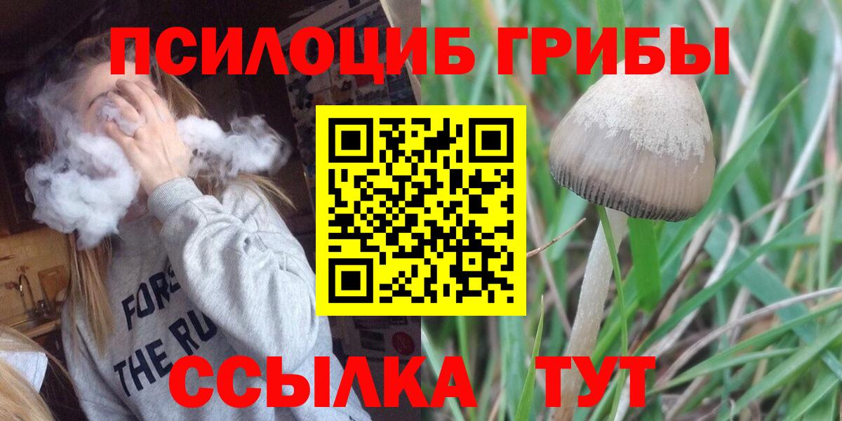 Псилоцибиновые грибы Psilocybine cubensis  купить  сайты  Ливны  Галлюциногенные грибы ЛСД  Вход с VPN 
