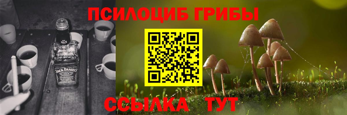 Галлюциногенные грибы мицелий Ливны